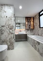 Irwell Hill Residences (D9), Apartment #451435431